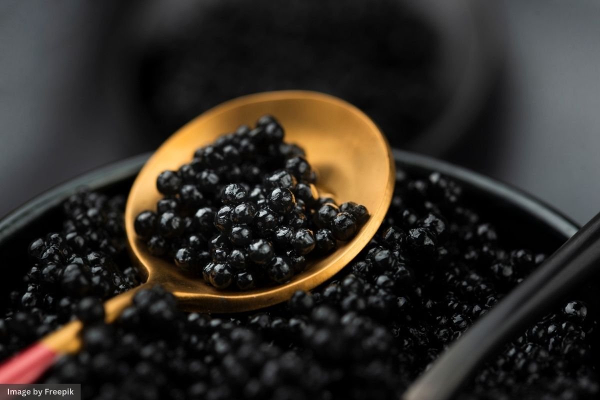 Luxury or Illusion? The Truth About Caviar Authenticity Luxurious black caviar elegantly displayed on a golden spoon, highlighting its glossy texture and rich colour.
