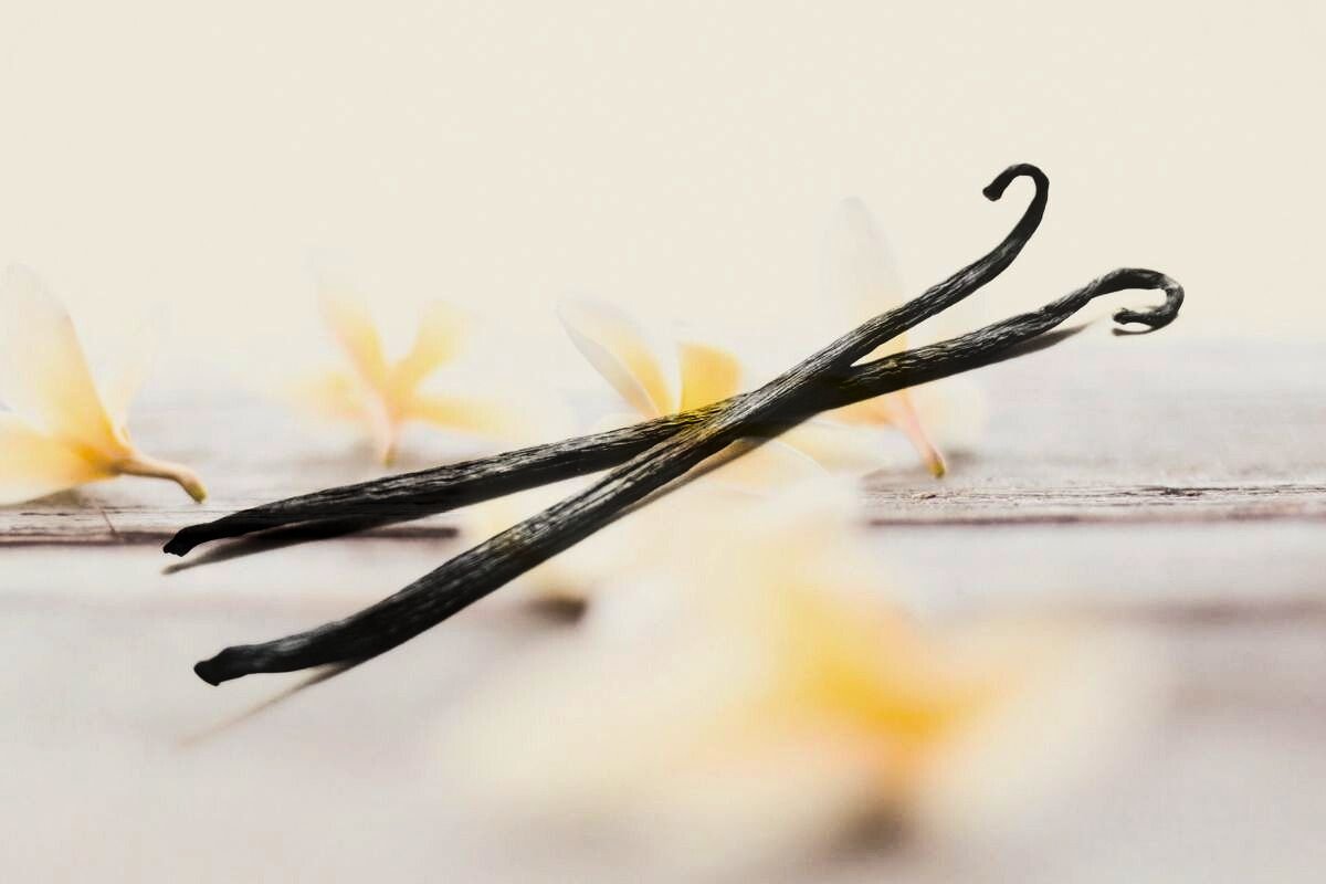 Vanilla Pods: Nature’s Fragrant Treasure for Sweet Creations Close-up of dried vanilla pods aligned in a black-and-white pattern.