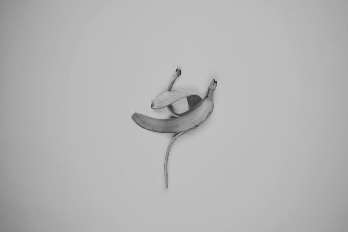 Gros Michel Banana: A Legacy Lost to Panama Disease Banana peel on a white table, symbolising the lost Gros Michel banana variety.