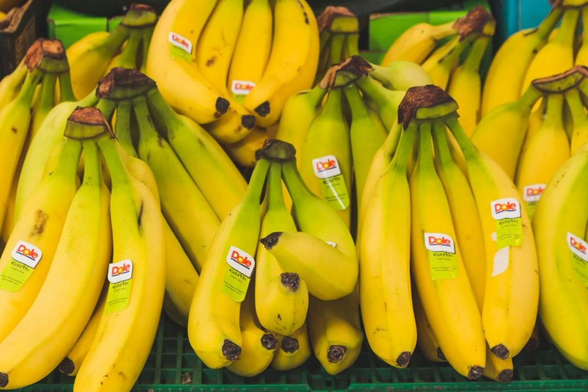 Dole Bananas: Symbol of Global Fresh Produce Industry A bunch of ripe bananas with a Dole sticker, symbolising global commercial banana production.