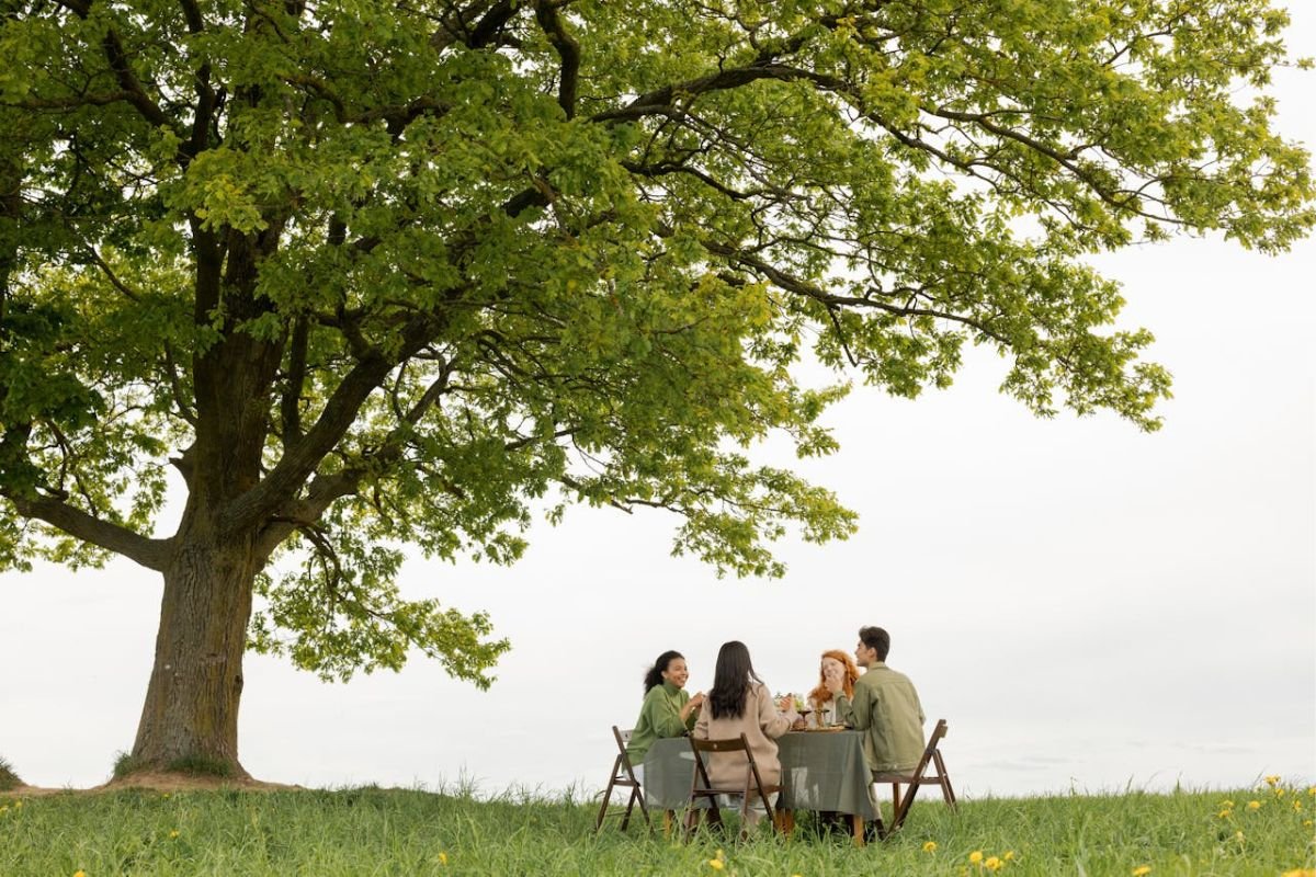 A small group of four people having dinner under a tree, showcasing the value of meaningful social connections.