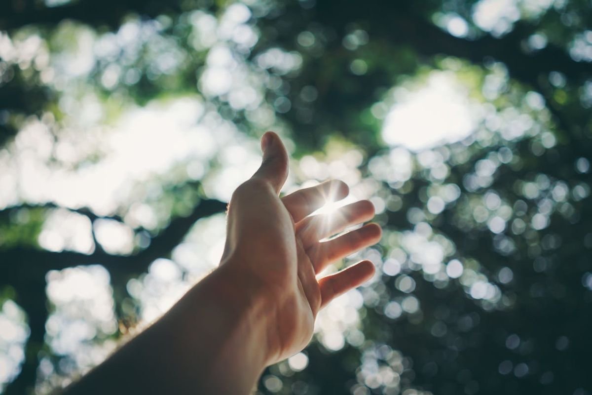 Reaching for Life’s Light: A Symbol of Appreciation and Intentional Living A hand reaching toward the sun with sunlight shining through fingers, symbolising the beauty of life and the importance of intentional living.