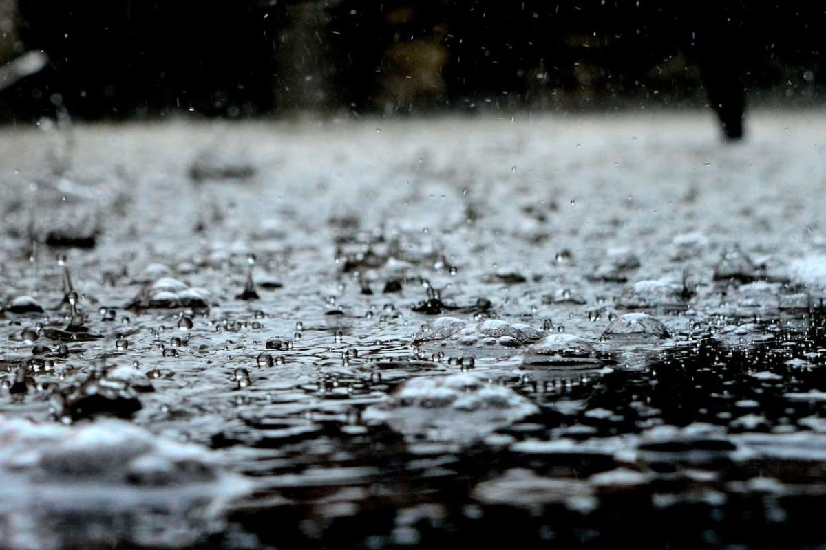 The Mosquito Mindset: Surviving Storms with Adaptability Close-up of heavy rain droplets, illustrating how mosquitoes survive rainstorms with effortless adaptability, embodying the 'mosquito mindset.'