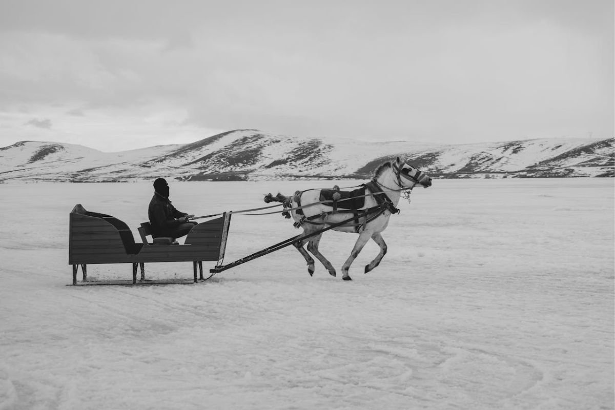 Crossing Frozen Lake Constance: Lessons in Perception from Field Theory A horse pulling a sleigh through snowy terrain, symbolising the tale of crossing frozen Lake Constance and aligning with Kurt Lewin's Field Theory.
