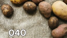 A variety of fresh potatoes resting on a rustic sack, showcasing different shapes, sizes, and colours, symbolising the rich history of potatoes.