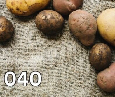 A variety of fresh potatoes resting on a rustic sack, showcasing different shapes, sizes, and colours, symbolising the rich history of potatoes.
