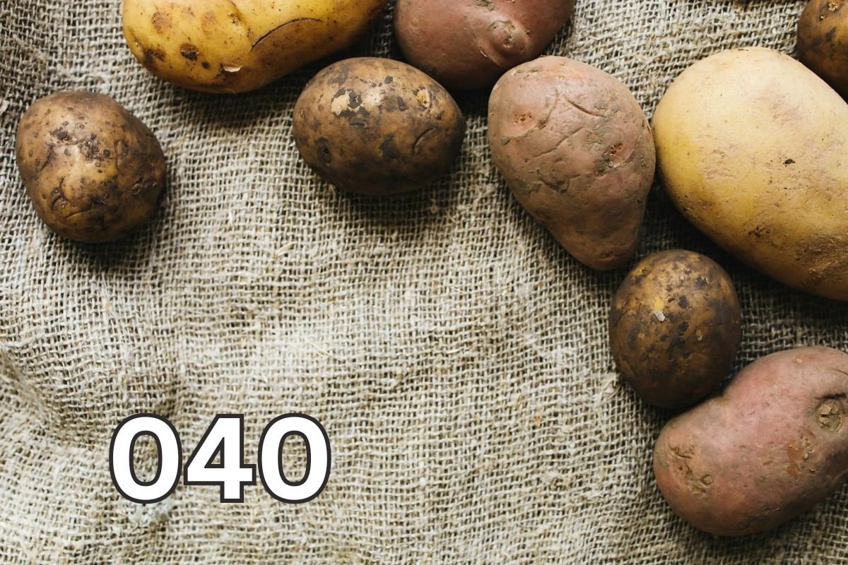 The Potato Story Begins: A Colourful Display of Nature’s Staple A variety of fresh potatoes resting on a rustic sack, showcasing different shapes, sizes, and colours, symbolising the rich history of potatoes.