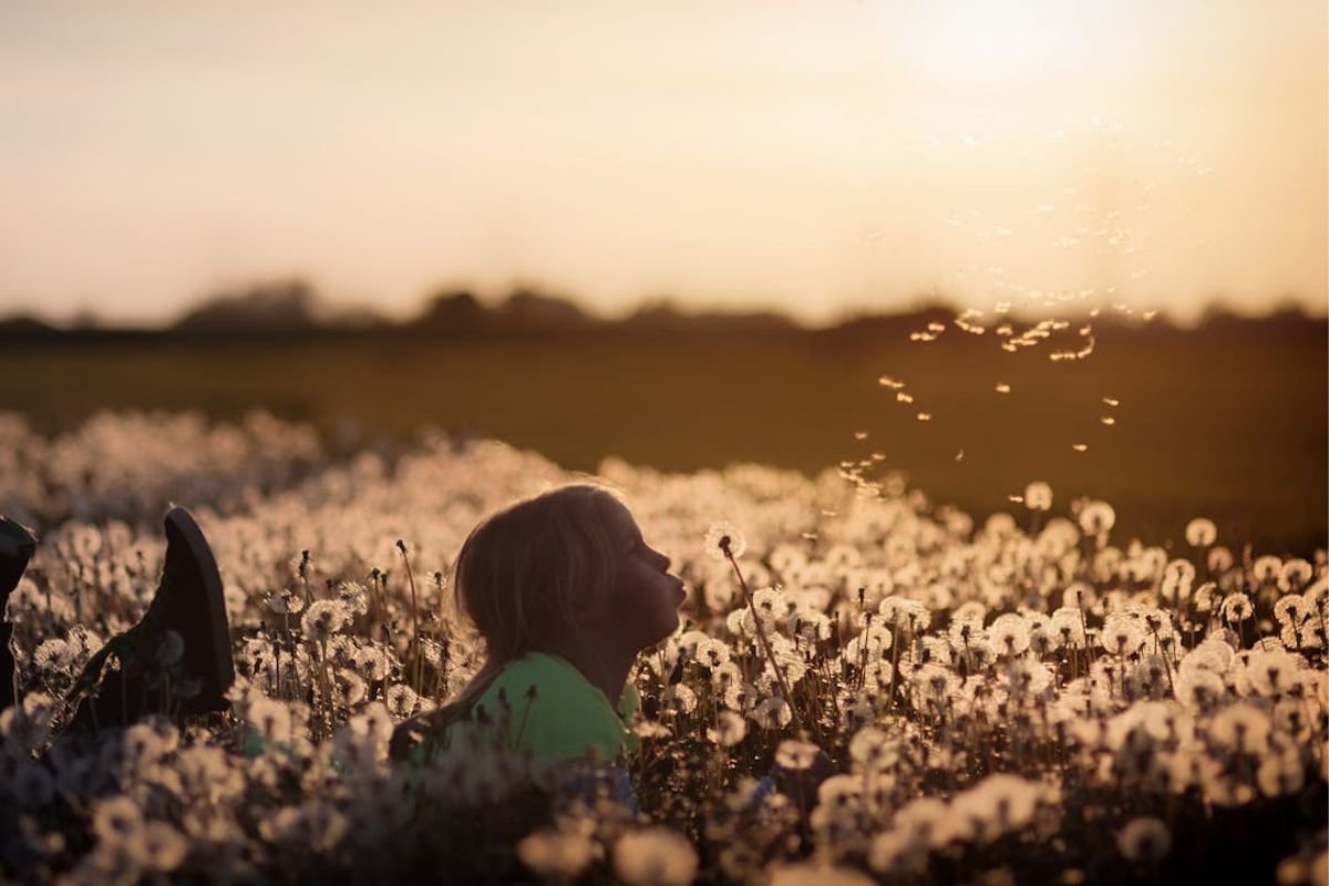 Letting Go with a Breath of Lightness Girl blowing a dandelion in a sunlit field, symbolizing the gentle power of letting go and trusting the process.
