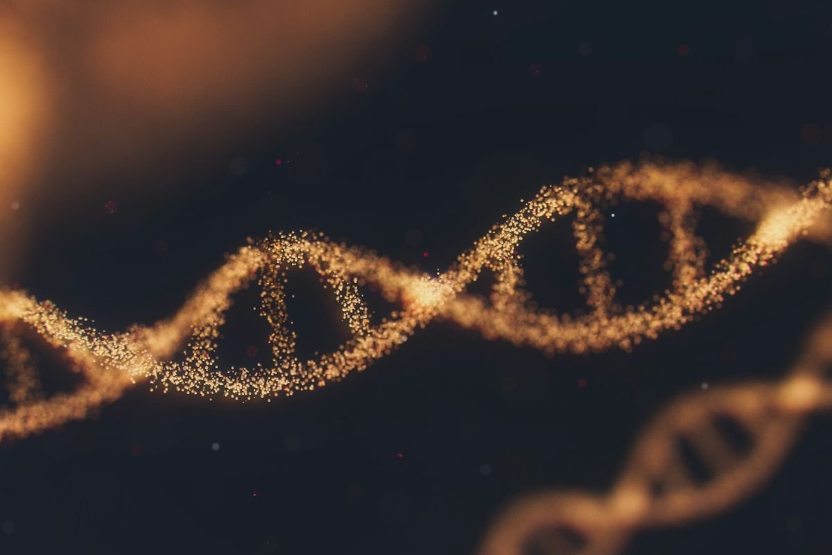 The Sweet Potato’s Hidden Secret: A Naturally Modified DNA A shimmering gold glitter formation in the shape of a DNA double helix, representing the natural genetic modification of sweet potatoes.