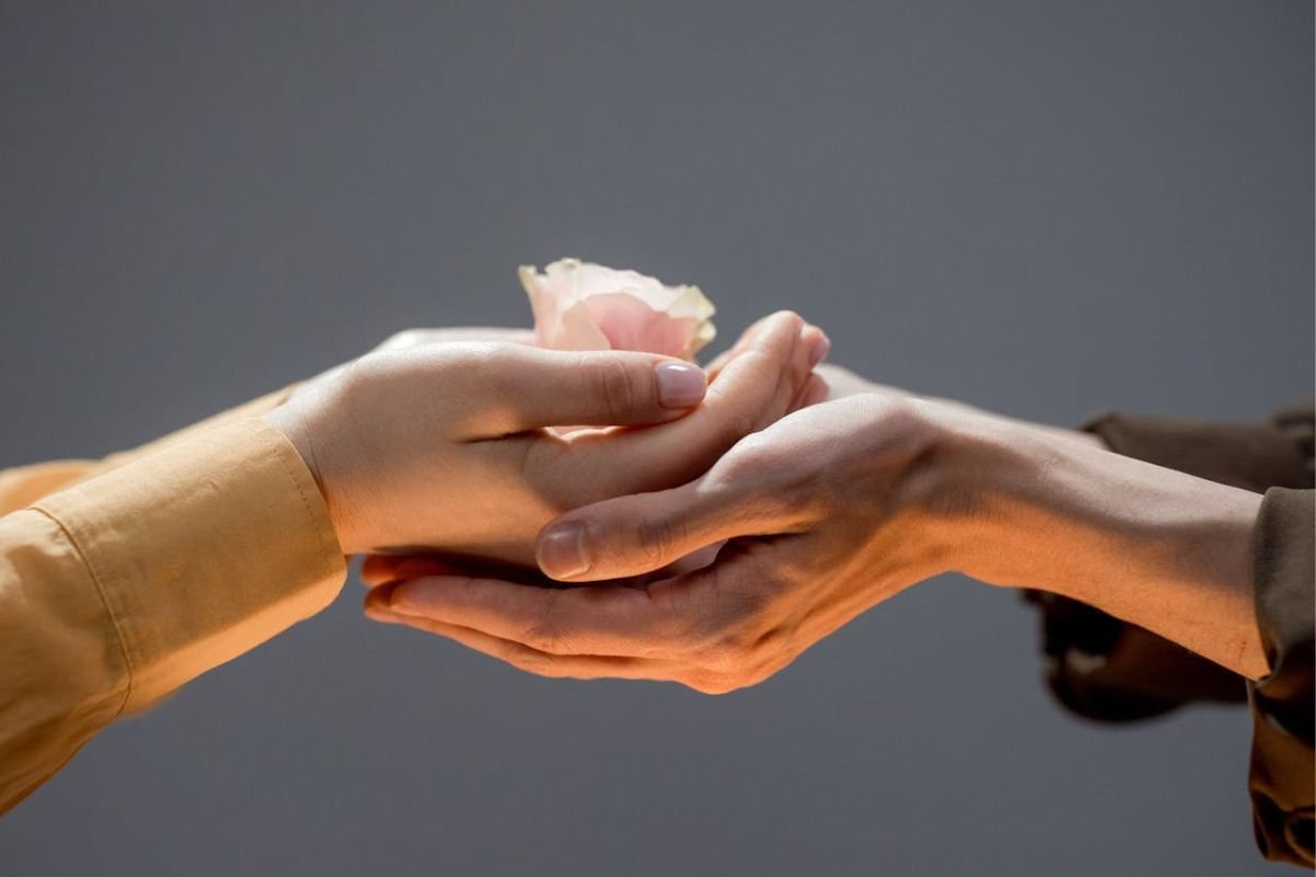 Kindness in Action - Hands Sharing a Delicate Rose Close-up of hands holding a rose flower, symbolising kindness, care, and support