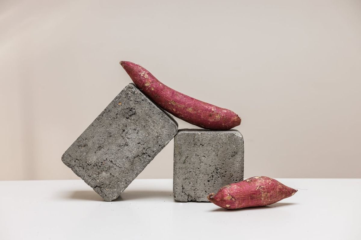 Sweet Potatoes: A Legacy That Goes Beyond the Plate Two sweet potatoes elegantly placed on smooth gray stones, representing their deep historical roots, cultural impact, and enduring versatility.