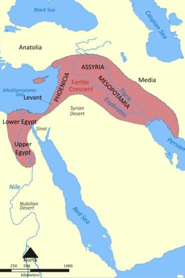 Map showing the Fertile Crescent, the historic region in the Middle East where wheat and agriculture first emerged.