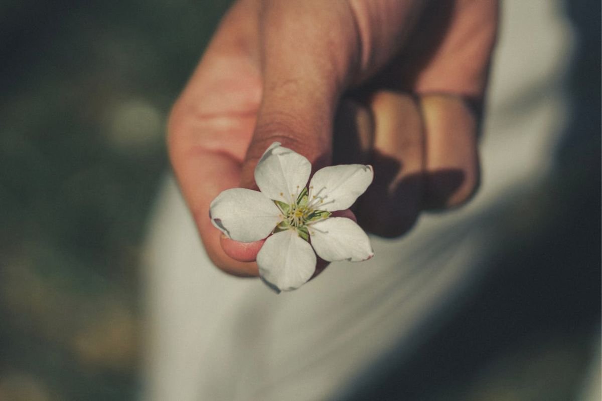 Wrinkled hand holding delicate white flower blossom