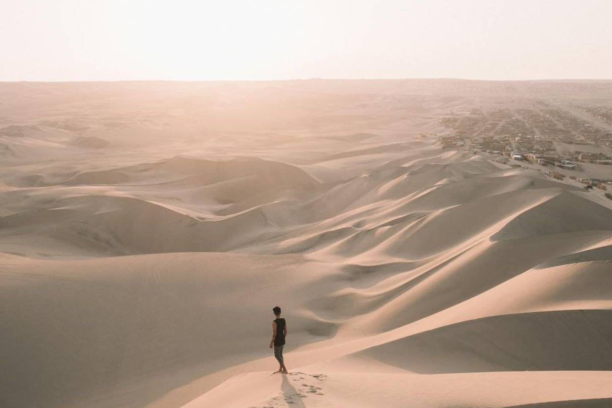Person walking alone across a vast desert landscape, symbolising emotional resilience and learning to carry yourself through life’s difficult seasons.