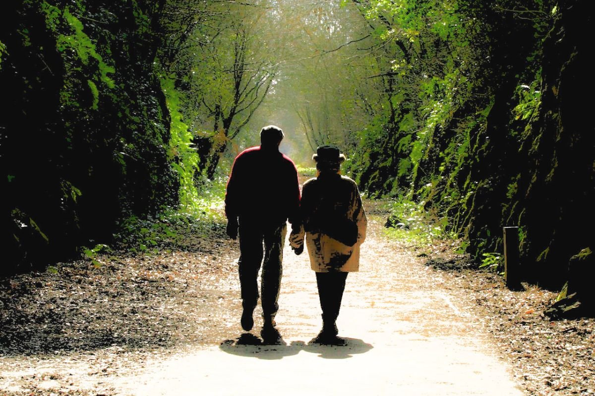 Elderly couple holding hands while walking together through a tree-lined path, representing companionship in old age.