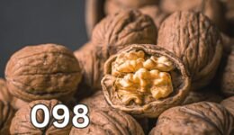 Walnuts, one of the best foods for brain health, rich in omega-3 fatty acids and nutrients that support memory and cognitive function.