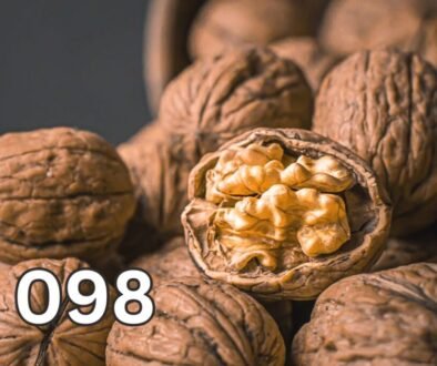 Walnuts, one of the best foods for brain health, rich in omega-3 fatty acids and nutrients that support memory and cognitive function.