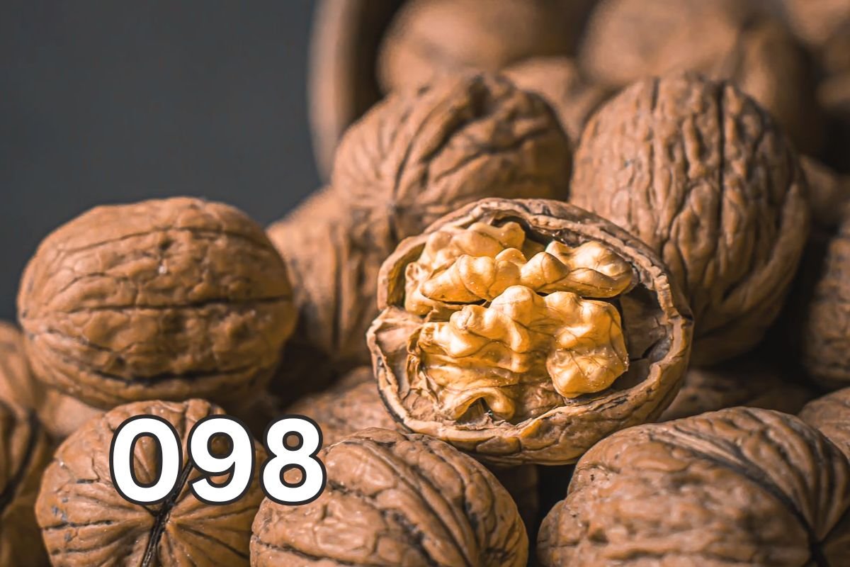 Walnuts, one of the best foods for brain health, rich in omega-3 fatty acids and nutrients that support memory and cognitive function.