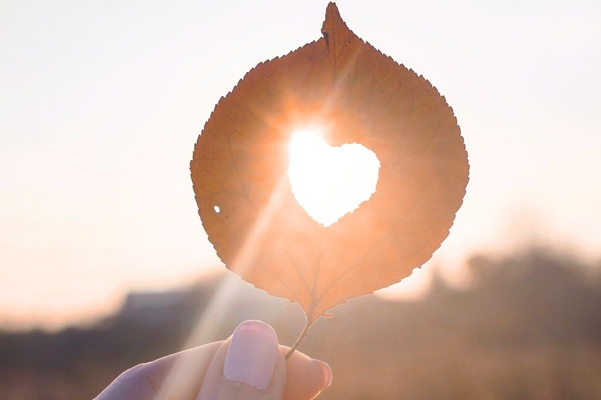 Hand holding a leaf with a heart shape, symbolising vitamin D and heart health